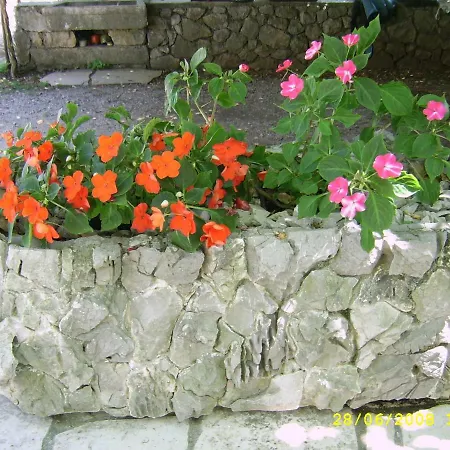 Cvelic Milovcic Apartment